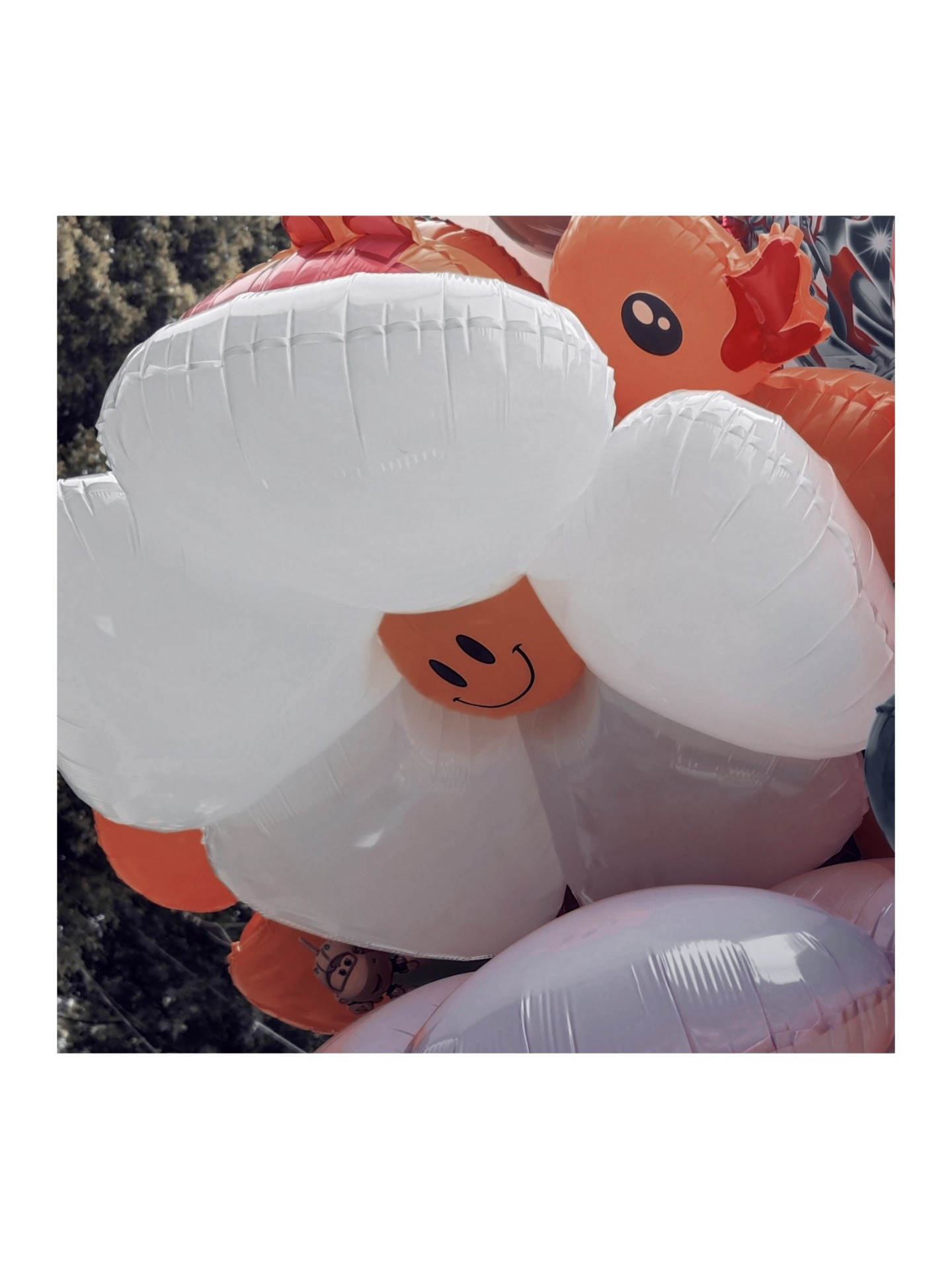 Cloudflare Tunnel手册